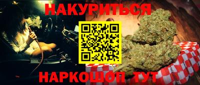 индика Лесосибирск