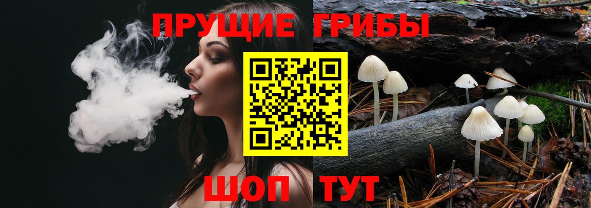 Дмитров  Псилоцибиновые грибы мухоморы  Вход с VPN 